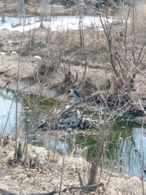 Bow Habitat Station & Sam Livingston Fish Hatchery by null