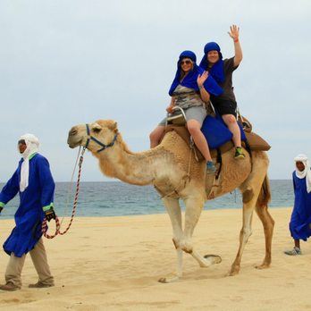 Cabo Adventures - Camel ride on the beach - Outback & Camel Safari - Boat Tours Near Me - Cabo San Lucas, BCS