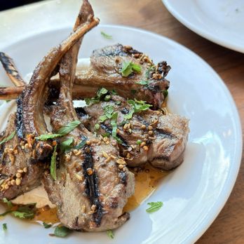 Marina - Lamb Chops Scottadito - Italian Near Me - Pasadena, California Marina - Lamb Chops Scottadito - Italian Near Me - Pasadena, California