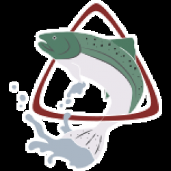 Triangle Bait & Tackle