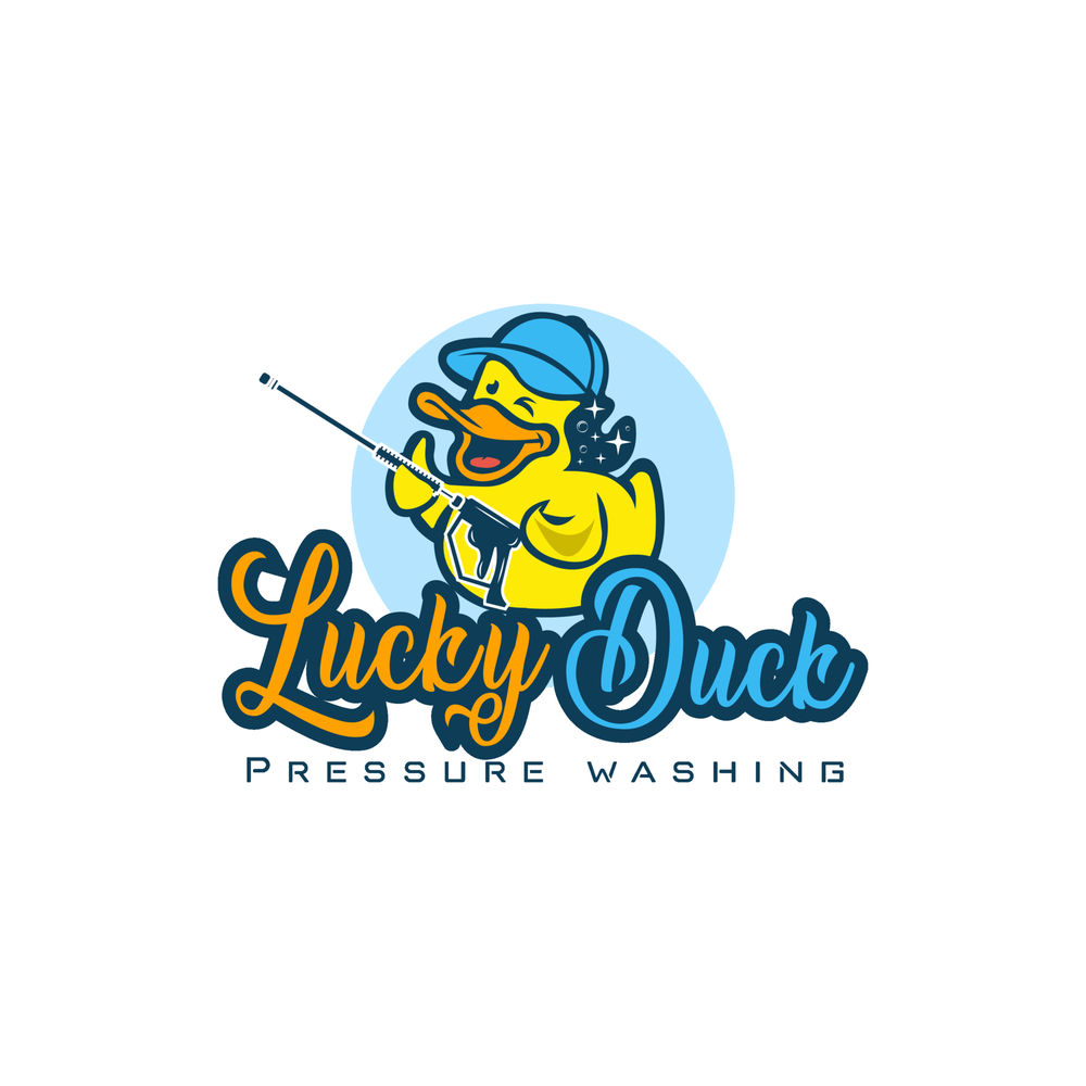 Slide of Lucky Duck Pressure Washing