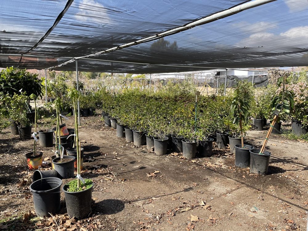 ARCADIA GARDEN Updated September 2024 18 Photos 4827 Peck Rd, El