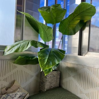 The Hidden Chickpea - Vegetarian Near Me - Madison, New Jersey