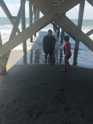 Edisto Beach State Park by null