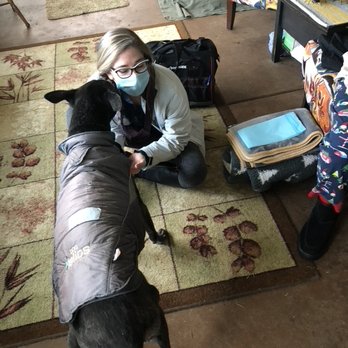 Paws Into Grace - Pet Hospice Near Me
