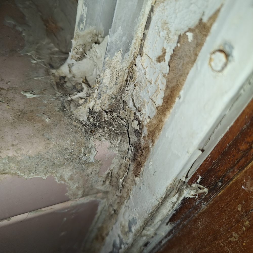 The Mobile Home Doctors - Bathtub falling off wall from bad caulking from previous person that did it - Mobile Home Repair Near Me - Gardena, California