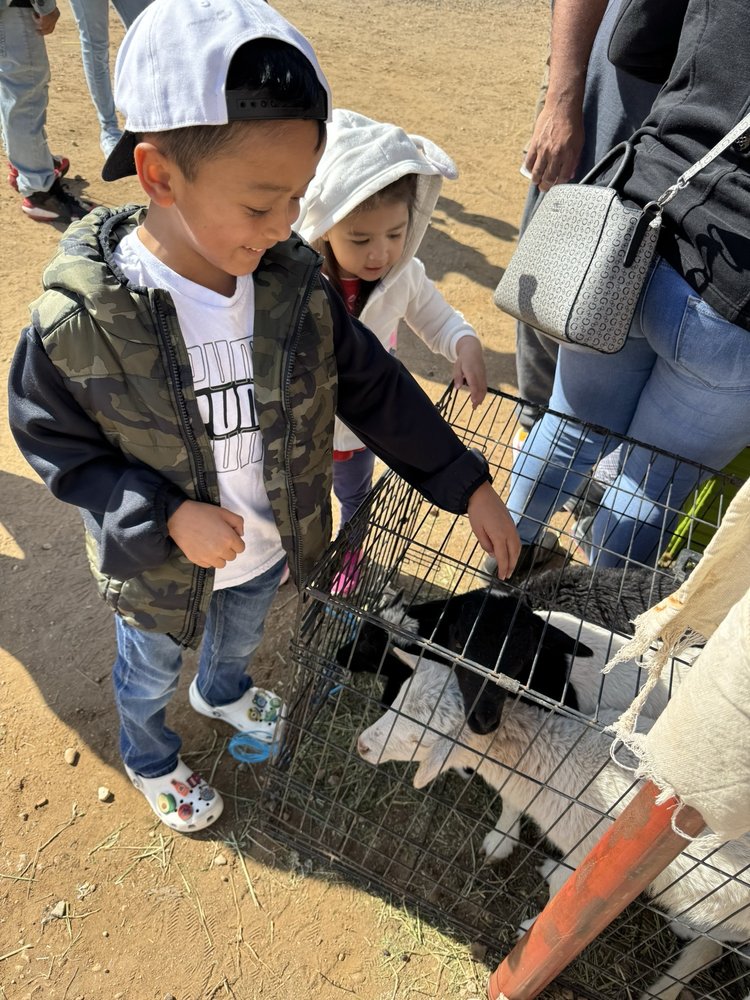 Las Esperanza Flea Market