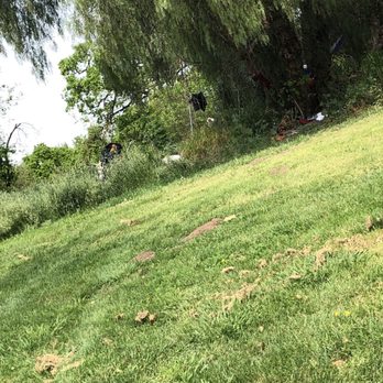 Creekside Golf Course - Homeless people living on the course also seen doing drugs as well. - Golf Near Me - Modesto, California Creekside Golf Course - Homeless people living on the course also seen doing drugs as well. - Golf Near Me - Modesto, California