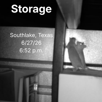 Public Storage - Multiple Rats Inside a Unit in the Main Building - Self Storage Near Me - Southlake, Texas