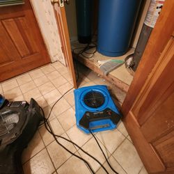 Water Damage Repair Tech