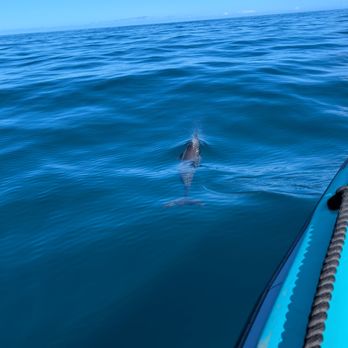 Na Pali Riders - Dolfriend - Boating Near Me - Waimea, Hawaii Na Pali Riders - Dolfriend - Boating Near Me - Waimea, Hawaii