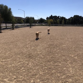 Wallis Ranch - Lola met another golden retriever - Apartments Near Me - Dublin, California Wallis Ranch - Lola met another golden retriever - Apartments Near Me - Dublin, California