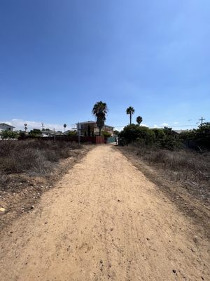 Tecolote Canyon Natural Park and Nature Center by null