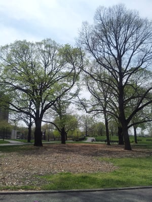 Ciccarone Park by null