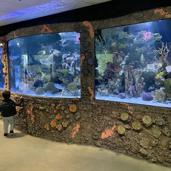 Maritime Aquarium - Aquariums - Aquariums Near Me - Norwalk, Connecticut Maritime Aquarium - Aquariums - Aquariums Near Me - Norwalk, Connecticut