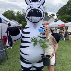 Celebrating Paw Paw trees and the Zebra Swallowtail butterflies that need them at the Murrysville Farmer's Market with a fun loving zebra!