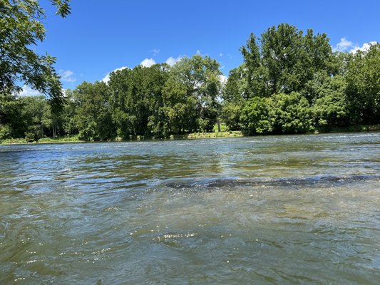 Front Royal Outdoors by null