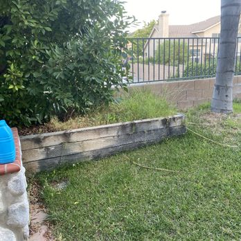 Omar Landscaping Service - One of the palm trees and 1 planter before removed - Tree Services Near Me Omar Landscaping Service - One of the palm trees and 1 planter before removed - Tree Services Near Me