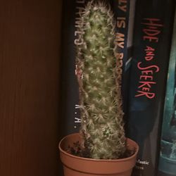 Cool cacti don't know the name of