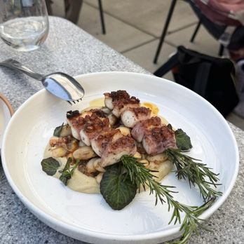 Vina Enoteca - Octopus - Italian Near Me - Palo Alto, California Vina Enoteca - Octopus - Italian Near Me - Palo Alto, California