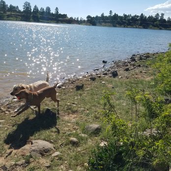 Fool Hollow State Park - Puppy Lake time! - Parks Near Me - Show Low, Arizona Fool Hollow State Park - Puppy Lake time! - Parks Near Me - Show Low, Arizona