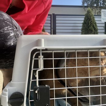 Eye Care for Animals - Chicago - Veterinarians Near Me - Chicago, Illinois Eye Care for Animals - Chicago - Veterinarians Near Me - Chicago, Illinois