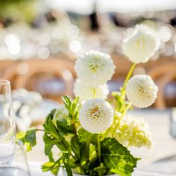 Precious and Blooming Floral Design - Small arrangement for long tables, lounge tables, cocktail tables