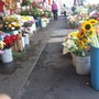 Photo of Mercado de San Gregorio Atlapulco