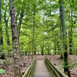 Calvin Ecosystem Preserve and Native Gardens