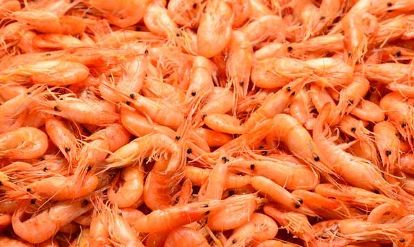 Osler Fish Market by null