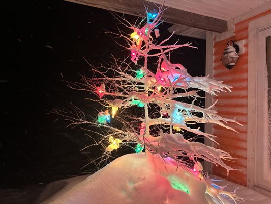 Daily Catch Restaurant by null