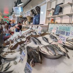 City Fish