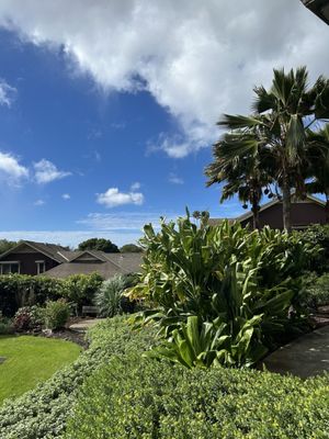 Mānoa Heritage Center by null