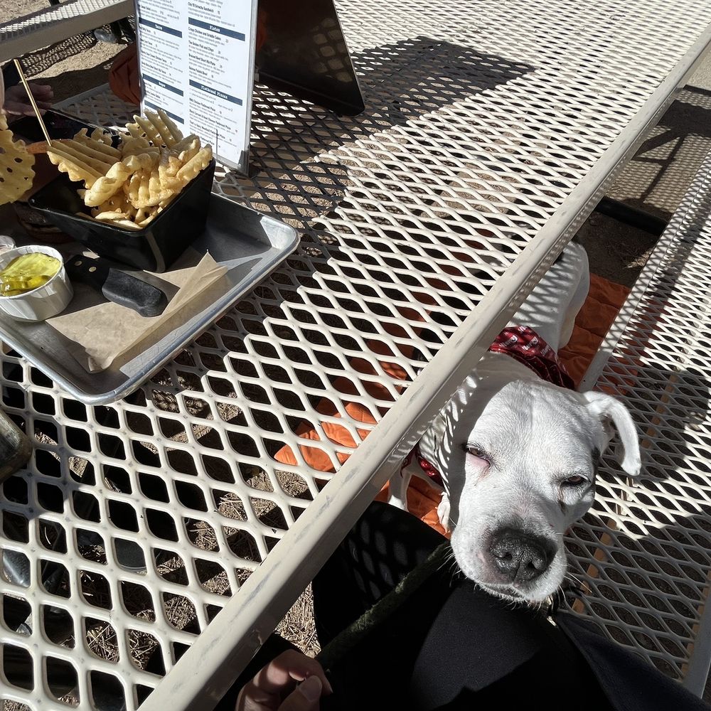 Mammoth Brewing - Perfectly cooked waffle fries! - Breweries Near Me - Mammoth Lakes, California