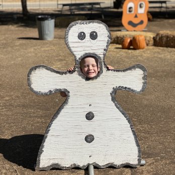 Peltzer Pumpkin Farm - Pumpkin Patches Near Me - Temecula, California