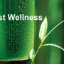 Photo of Just Wellness