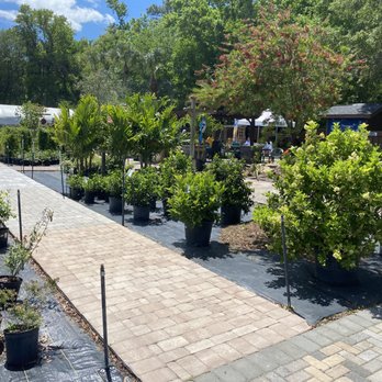 Earth Works Plant Nursery - Nurseries & Gardening Near Me - Jacksonville, Florida Earth Works Plant Nursery - Nurseries & Gardening Near Me - Jacksonville, Florida