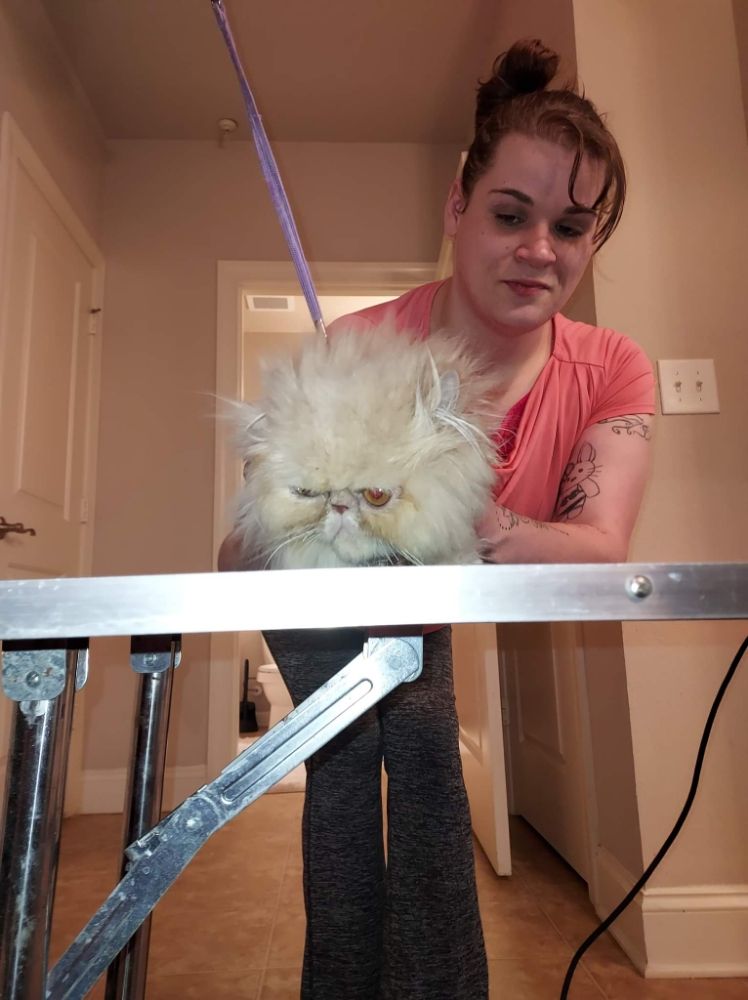 Sylvia's House Call Pet Services Image