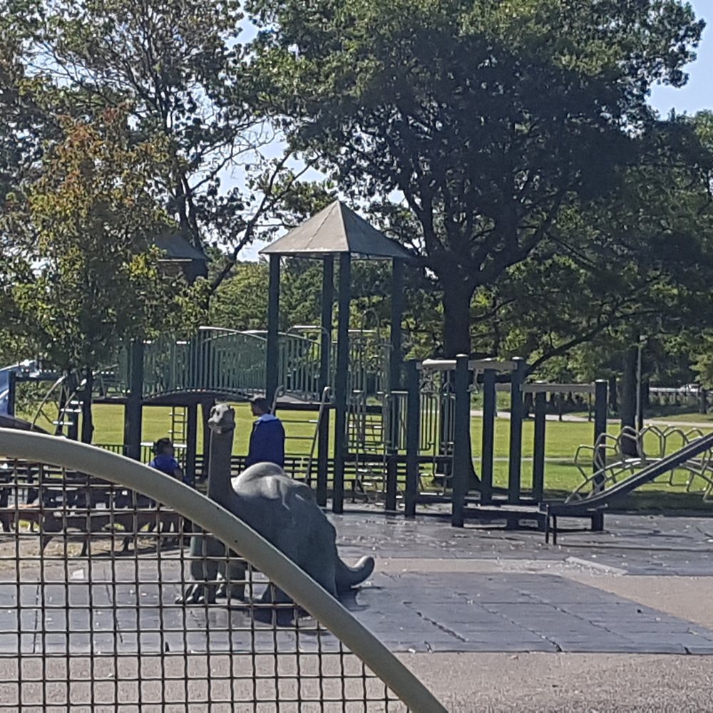 Jurassic Playground - Parks Near Me - New York, New York Jurassic Playground - Parks Near Me - New York, New York