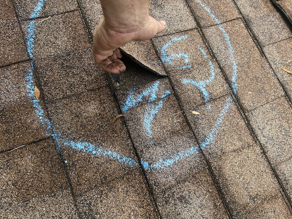 Slide of Total Care Services