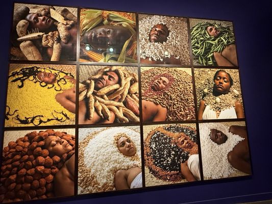 Museu Afro Brasil by null