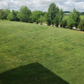 Lawn Cure - Love the progress and service - Lawn Services Near Me - Sellersburg, Indiana