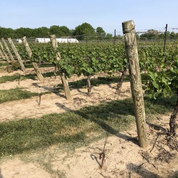 Jackson-Triggs Winery - Wineries Near Me - Niagara On the Lake, Ontario Jackson-Triggs Winery - Wineries Near Me - Niagara On the Lake, Ontario