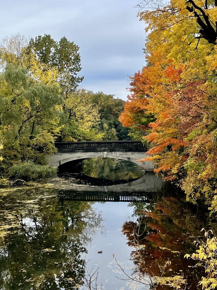 Social spots from Genesee Valley Park