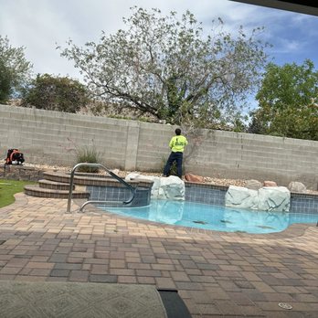 Mr. Tree - Tree Services Near Me - Henderson, Nevada