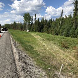 John's Ice & Fire Taxi & Van Service - After taking out speed sign mows down several small trees and travels a scarlet 200+ yrds at full speed into.