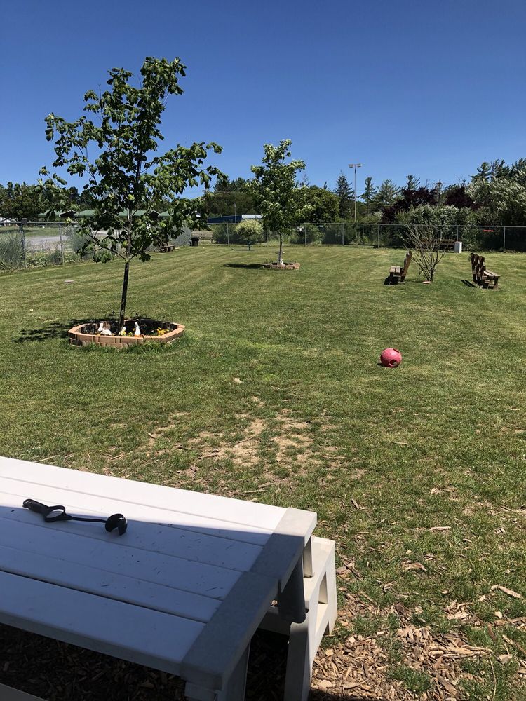 Jager and Friends Dog Park Logo