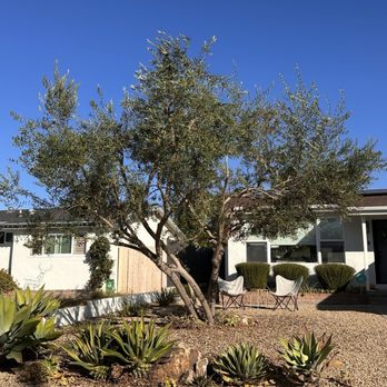Letuli Garage Door Perfection and Tree Services - After pruning - Garage Door Services Near Me