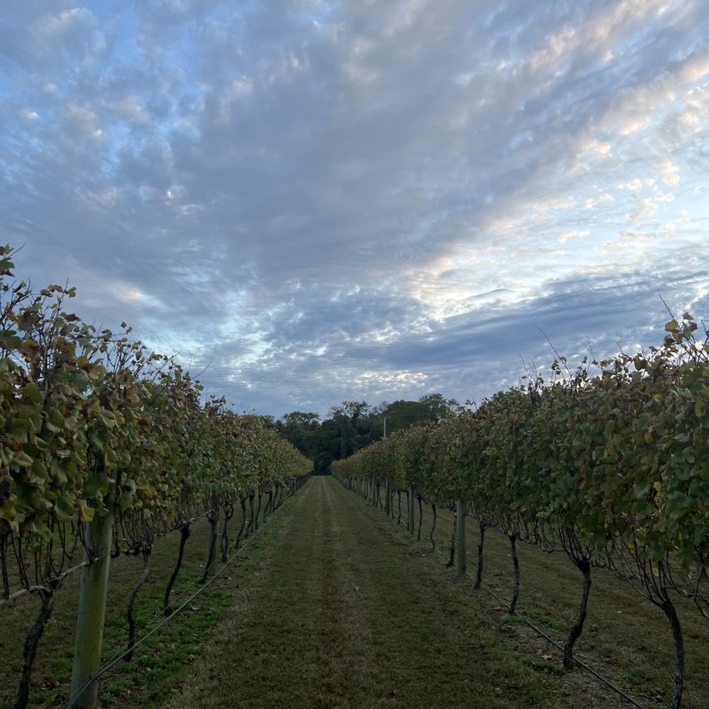 Willow Creek Winery - Wineries Near Me - West Cape May, New Jersey Willow Creek Winery - Wineries Near Me - West Cape May, New Jersey