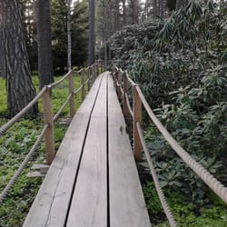 Alppiruusupuisto